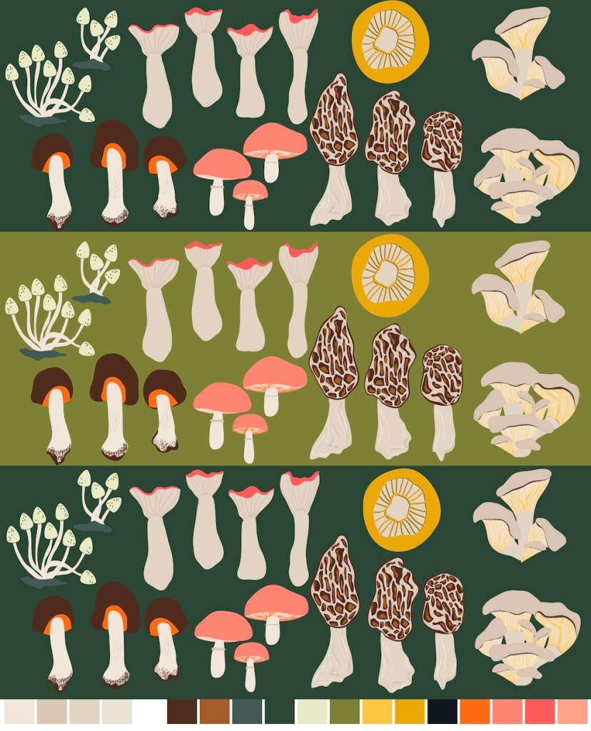 Illustration of mushrooms on different green backgrounds.